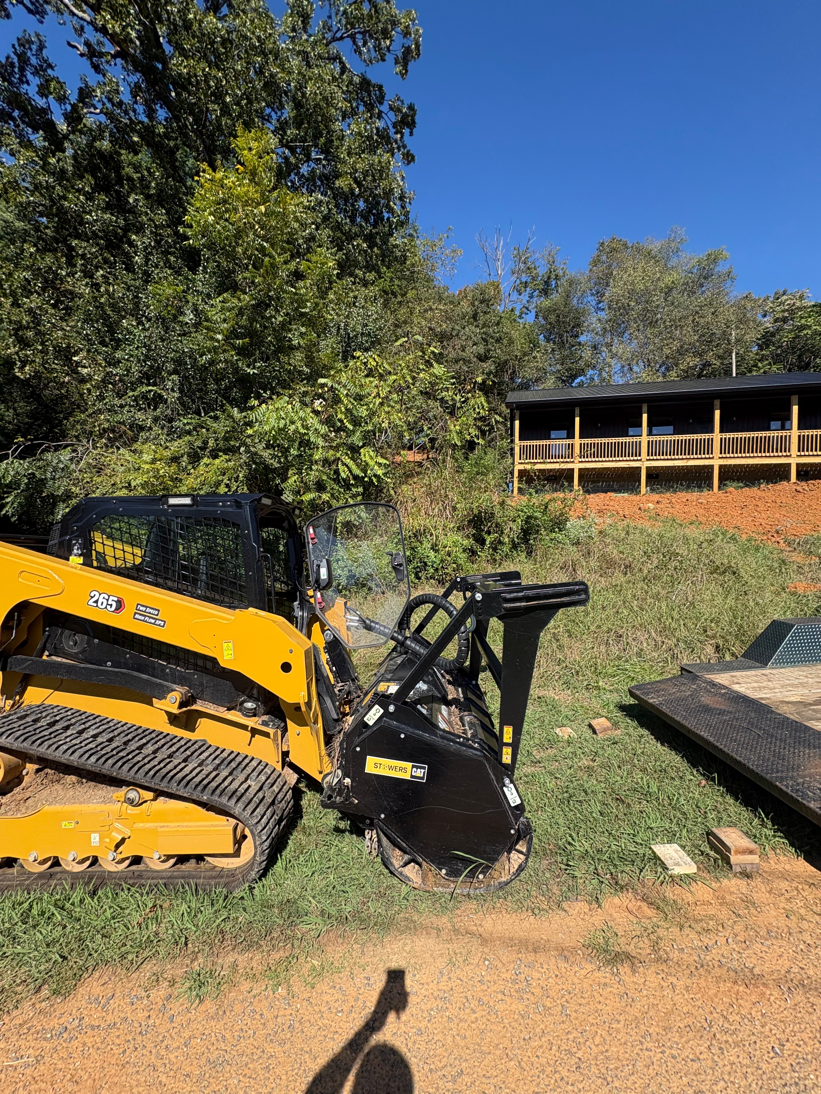 Before Photo Of Overgrown Hillside