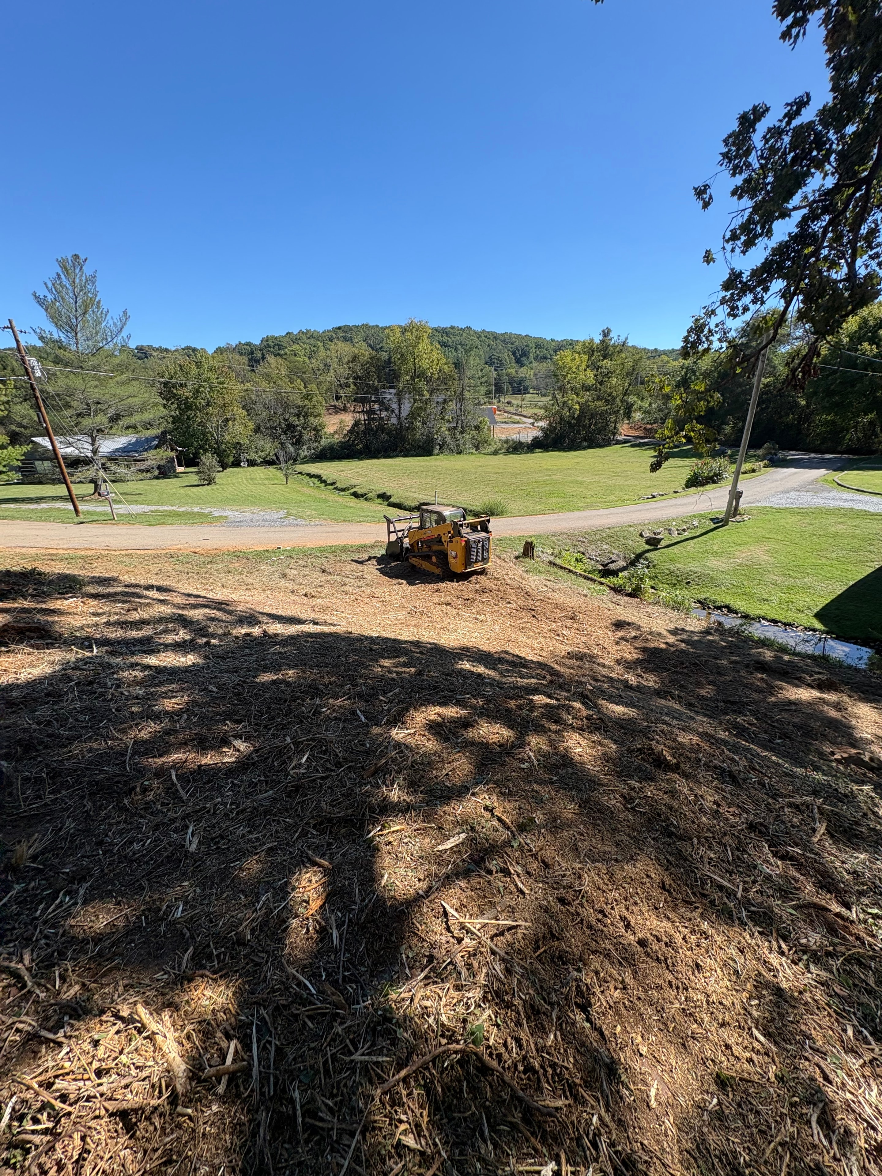 Land Clearing — Wooded Acreage
